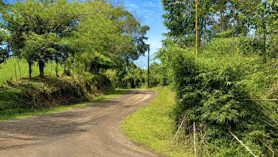 Vendo finca ganadera en Cutris de San Carlos, recibo BitCoins / DFS