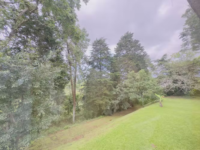 VENTA DE AMPLIO TERRENO CON CASAS UNA JOYA EN LA CIUDAD - Imagen 8