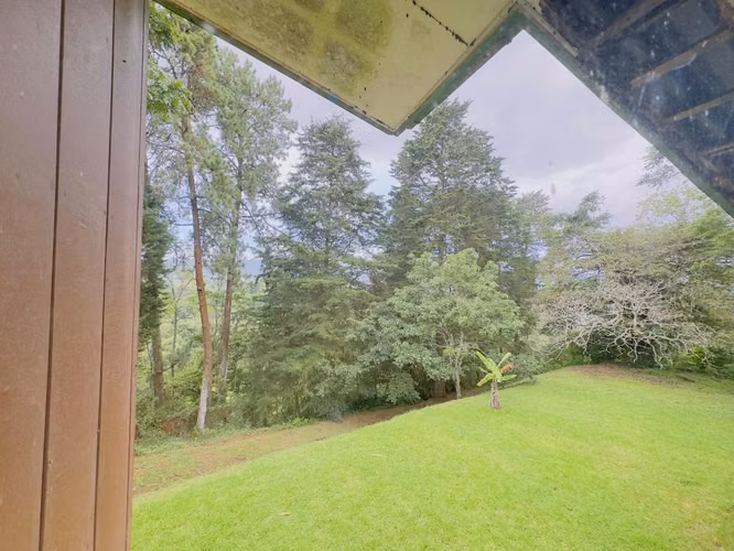 VENTA DE AMPLIO TERRENO CON CASAS UNA JOYA EN LA CIUDAD - Imagen 6