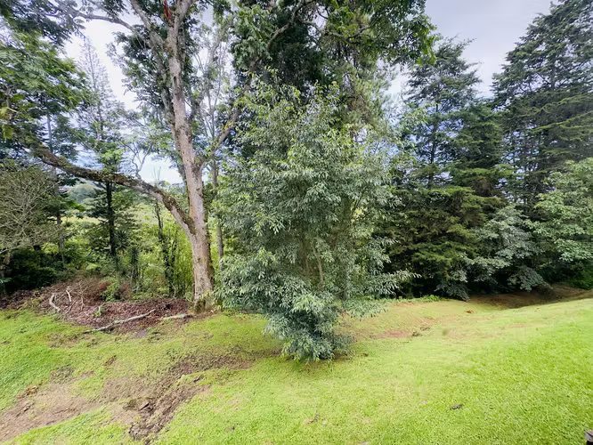 VENTA DE AMPLIO TERRENO CON CASAS UNA JOYA EN LA CIUDAD - Imagen 11