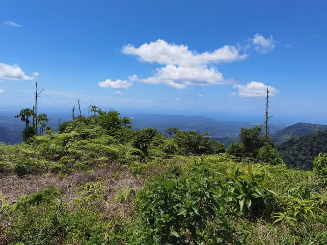 64 hectare Mountain Estate-Pacific Ocean Views-2 km of Road Frontage | Santa Juana, Quepos, CR