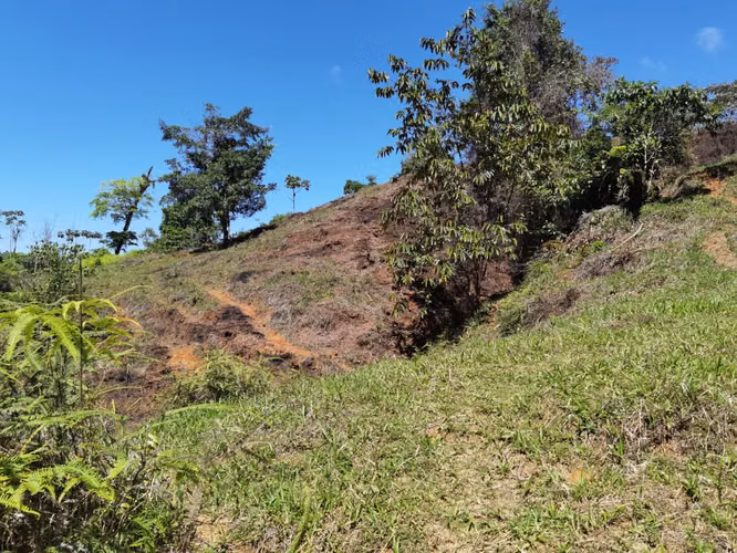 Finca de 64 hectáreas con Vista al Océano Pacífico y 2 km de Frente a Calle | Santa Juana, Quepos