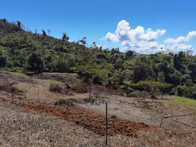 Finca de 64 hectáreas con Vista al Océano Pacífico y 2 km de Frente a Calle | Santa Juana, Quepos