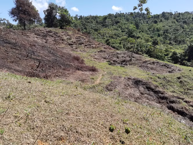 Finca de 64 hectáreas con Vista al Océano Pacífico y 2 km de Frente a Calle | Santa Juana, Quepos