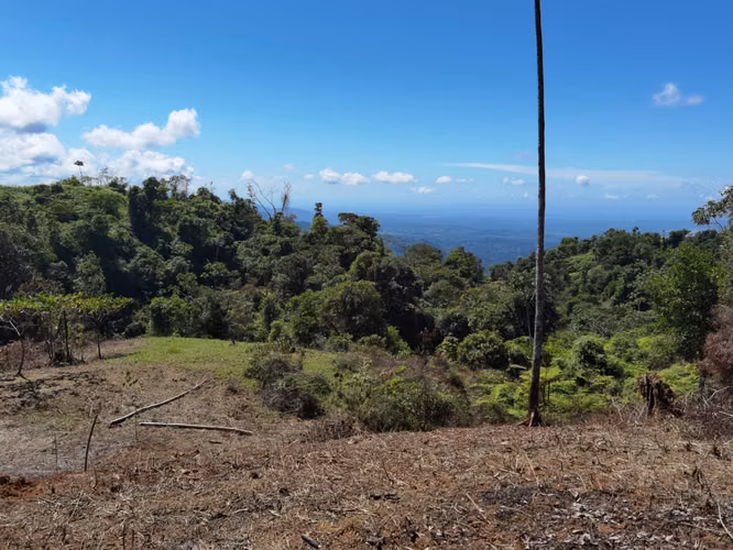 Finca de 64 hectáreas con Vista al Océano Pacífico y 2 km de Frente a Calle | Santa Juana, Quepos