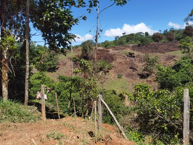 Finca de 64 hectáreas con Vista al Océano Pacífico y 2 km de Frente a Calle | Santa Juana, Quepos