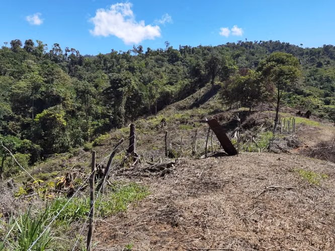 Finca de 64 hectáreas con Vista al Océano Pacífico y 2 km de Frente a Calle | Santa Juana, Quepos