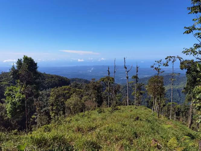 Finca de 64 hectáreas con Vista al Océano Pacífico y 2 km de Frente a Calle | Santa Juana, Quepos