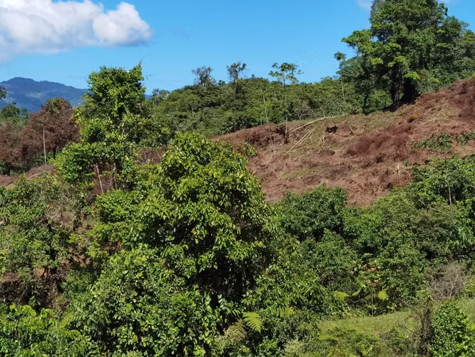 Finca de 64 hectáreas con Vista al Océano Pacífico y 2 km de Frente a Calle | Santa Juana, Quepos