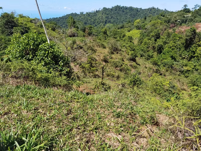 Finca de 64 hectáreas con Vista al Océano Pacífico y 2 km de Frente a Calle | Santa Juana, Quepos