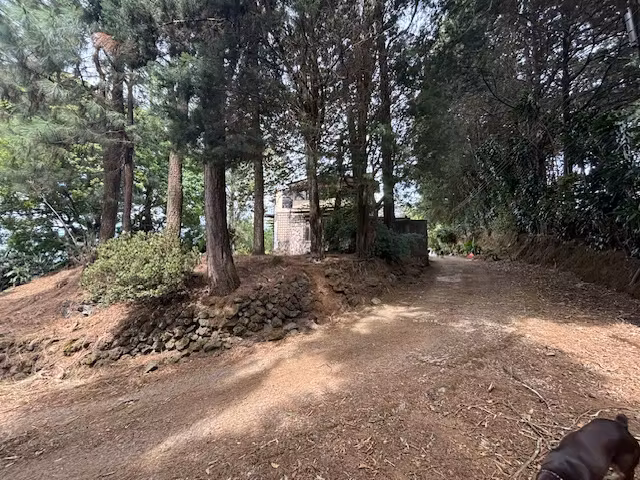En venta finca en zona agropecuaria, Poás de Alajuela, 6050