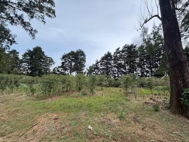 En venta finca en zona agropecuaria, Poás de Alajuela, 6050