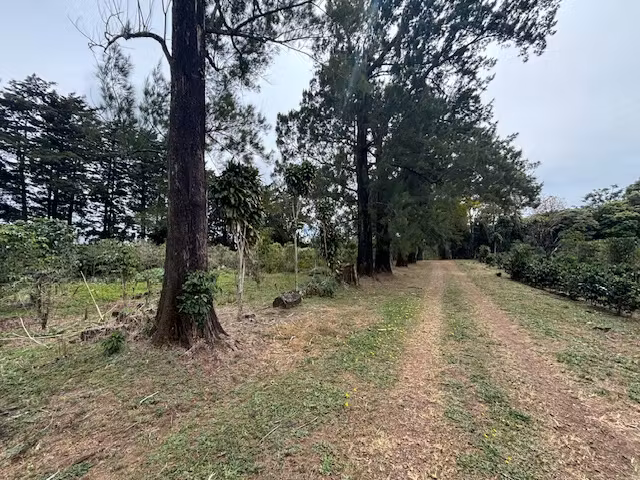 En venta finca en zona agropecuaria, Poás de Alajuela, 6050
