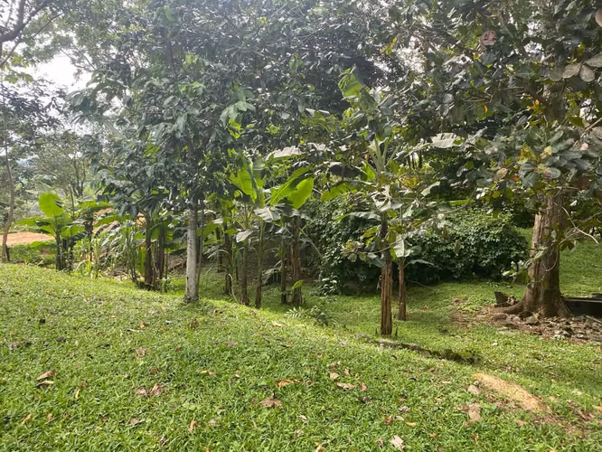 Finca con Casas en Guadalupe de San Rafael de Esparza, Puntarenas