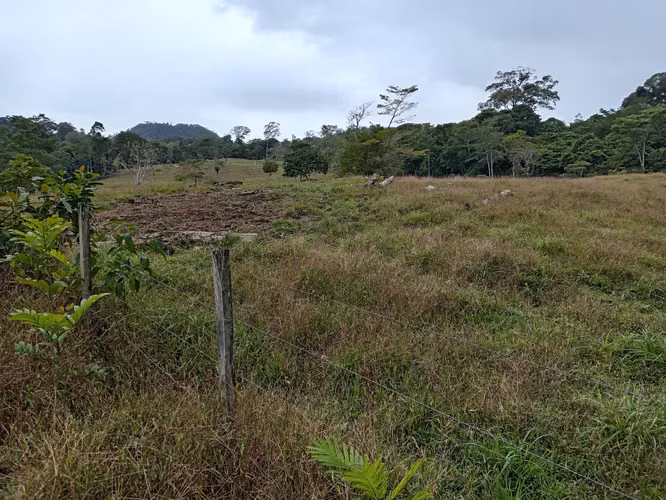 Venta de Finca Productiva de 151 Hectáreas | Sarapiquí, La Delia Heredia - Imagen 5