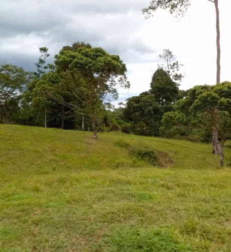 Venta de Finca Productiva de 151 Hectáreas | Sarapiquí, La Delia Heredia - Imagen 2