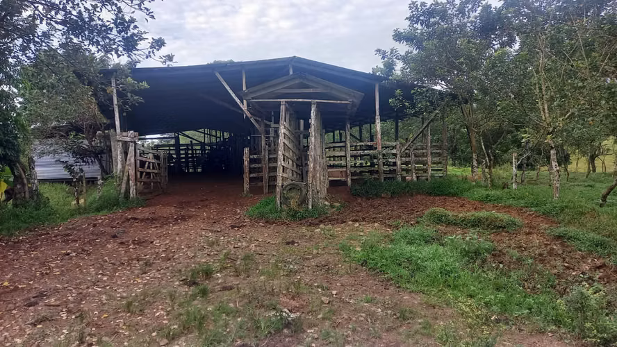 Venta de Finca Productiva de 151 Hectáreas | Sarapiquí, La Delia Heredia - Imagen 6