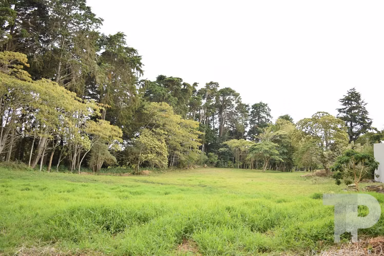 SE VENDE LOTE LOS ANGELES SAN RAFAEL HEREDIA RESIDENCIAL EL CASTILLO SCG69 - Imagen 7
