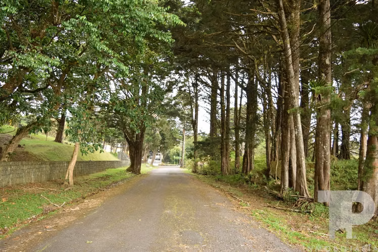 SE VENDE LOTE LOS ANGELES SAN RAFAEL HEREDIA RESIDENCIAL EL CASTILLO SCG69 - Imagen 4
