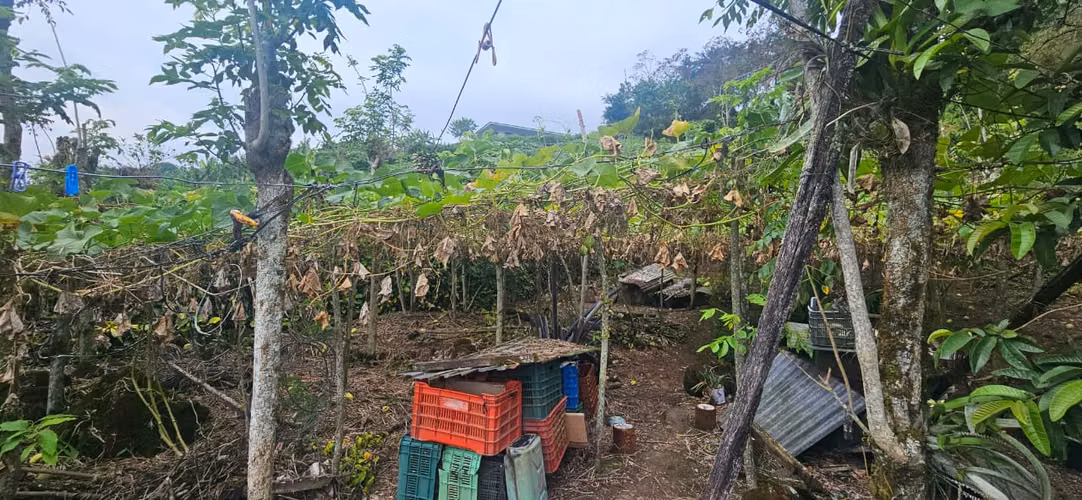  Casa de Ensueño en Santiago de Paraíso, Cartago | 2.903 m² de Naturaleza | Uso de Suelo Mixto