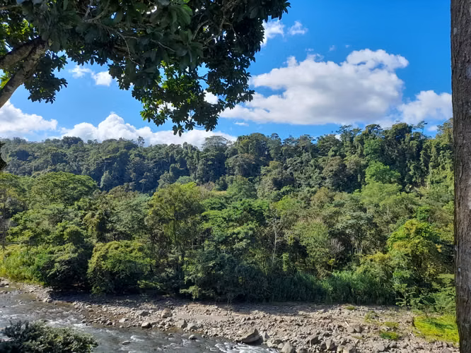 SAN CARLOS- VENTA DE QUINTA TURISTICA  RODEADO DE NATURALEZA 10.191 MT2 - Imagen 15