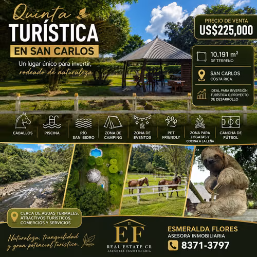 SAN CARLOS- VENTA DE QUINTA TURISTICA  RODEADO DE NATURALEZA 10.191 MT2 - Imagen 17