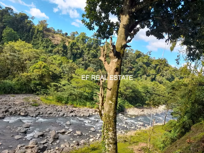 SAN CARLOS- VENTA DE QUINTA TURISTICA  RODEADO DE NATURALEZA 10.191 MT2 - Imagen 12