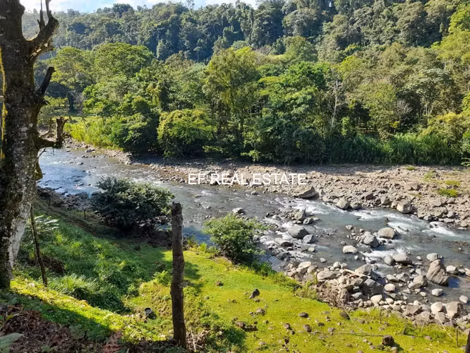 SAN CARLOS- VENTA DE QUINTA TURISTICA  RODEADO DE NATURALEZA 10.191 MT2 - Imagen 3