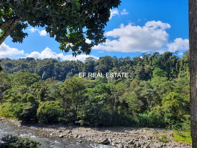 SAN CARLOS- VENTA DE QUINTA TURISTICA  RODEADO DE NATURALEZA 10.191 MT2 - Imagen 5