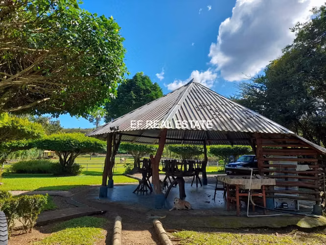SAN CARLOS- VENTA DE QUINTA TURISTICA  RODEADO DE NATURALEZA 10.191 MT2 - Imagen 13