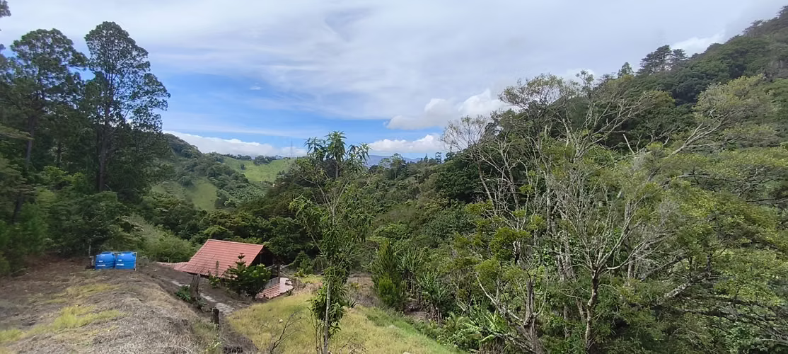 Terreno de montaña 5000 m²  Vistas Panorámicas, Jericó Desamparados