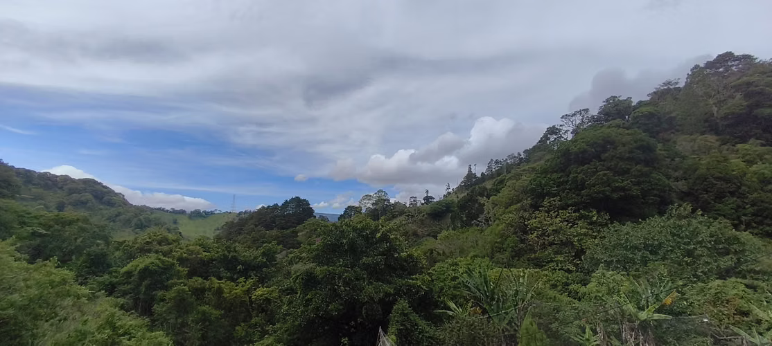 Terreno de montaña 5000 m²  Vistas Panorámicas, Jericó Desamparados