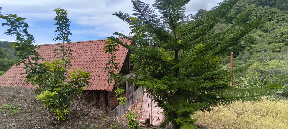 Terreno de montaña 5000 m²  Vistas Panorámicas, Jericó Desamparados