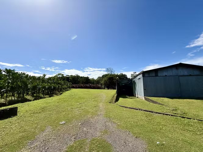 FINCA EN GUÁPILES . USO DE SUELO - Imagen 6