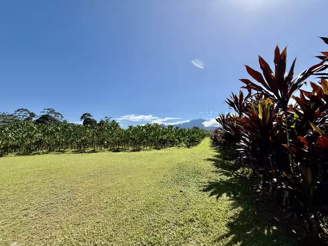 FINCA EN GUÁPILES . USO DE SUELO - Imagen 14