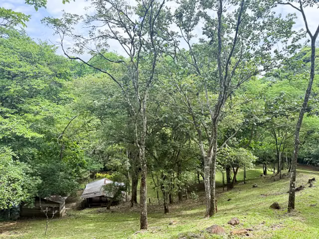 Finca Vista Verde Propiedad ecuestre exclusiva y retiro Turrúcares