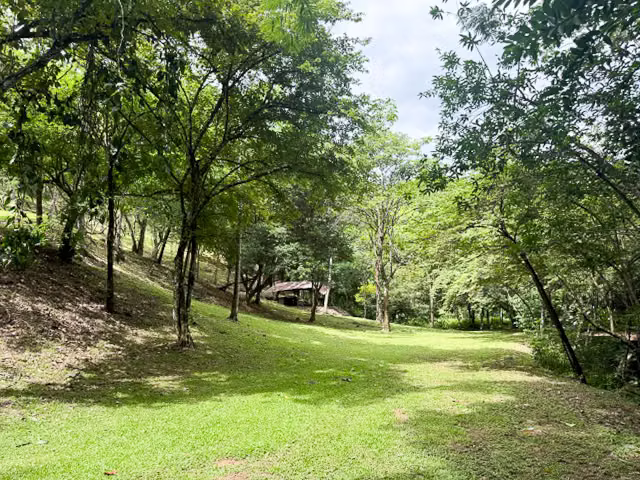 Finca Vista Verde Propiedad ecuestre exclusiva y retiro Turrúcares