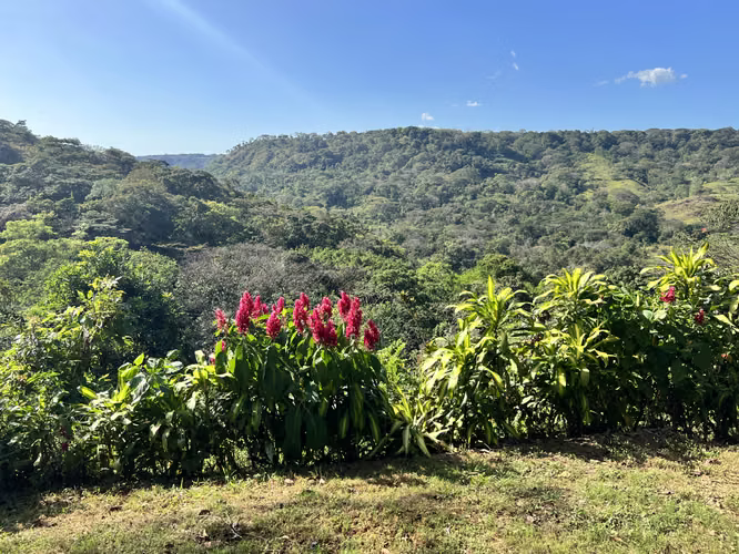 Refugio privado en medio de la naturaleza | Turrubares