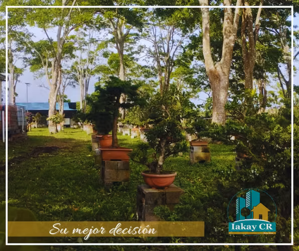 VENTA DE  TERRENO SANTO DOMINGO, HEREDIA - Imagen 4