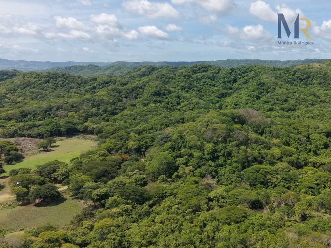 Oportunidad de Inversión | 73,56  Hectáreas con Uso de Suelo Mixto en La Cruz, Guanacaste