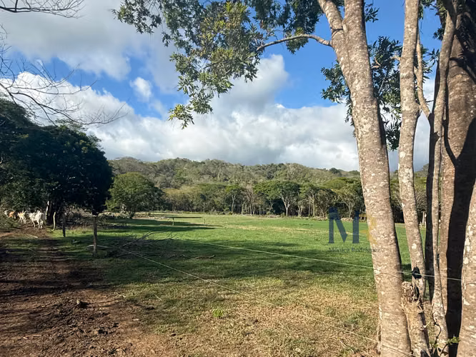 Oportunidad de Inversión | 73,56  Hectáreas con Uso de Suelo Mixto en La Cruz, Guanacaste
