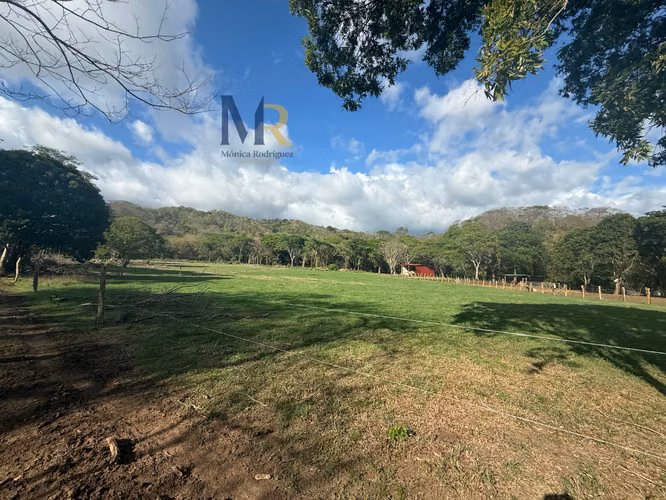 Oportunidad de Inversión | 73,56  Hectáreas con Uso de Suelo Mixto en La Cruz, Guanacaste
