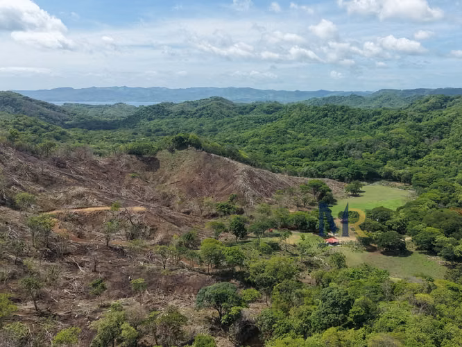 Oportunidad de Inversión | 73,56  Hectáreas con Uso de Suelo Mixto en La Cruz, Guanacaste