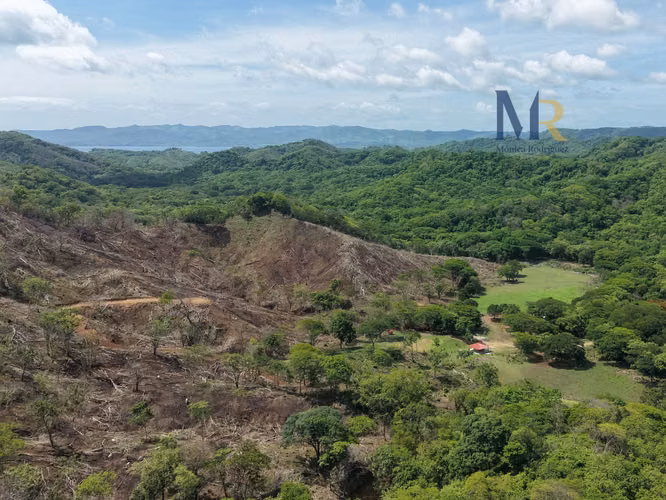 Oportunidad de Inversión | 73,56  Hectáreas con Uso de Suelo Mixto en La Cruz, Guanacaste
