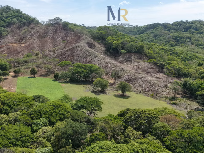 Oportunidad de Inversión | 73,56  Hectáreas con Uso de Suelo Mixto en La Cruz, Guanacaste