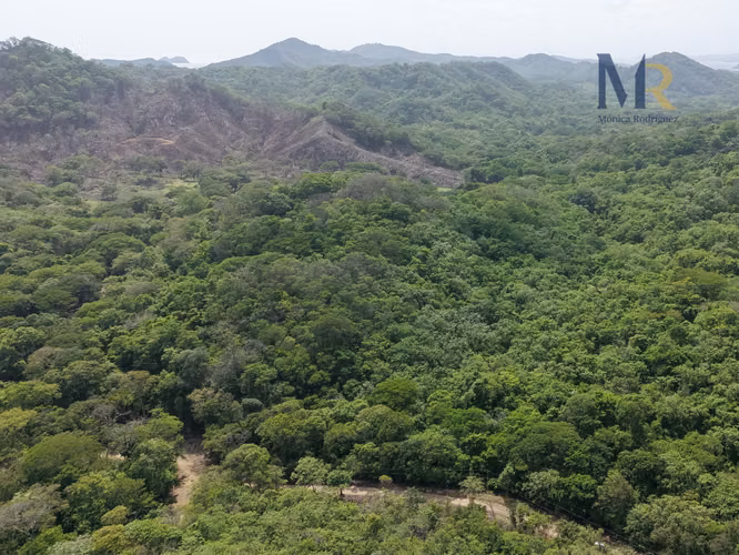 Oportunidad de Inversión | 73,56  Hectáreas con Uso de Suelo Mixto en La Cruz, Guanacaste