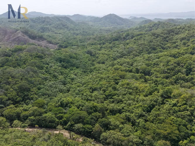 Oportunidad de Inversión | 73,56  Hectáreas con Uso de Suelo Mixto en La Cruz, Guanacaste