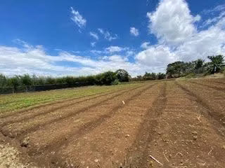 Venta de terreno  Escazú San Antonio - Imagen 3