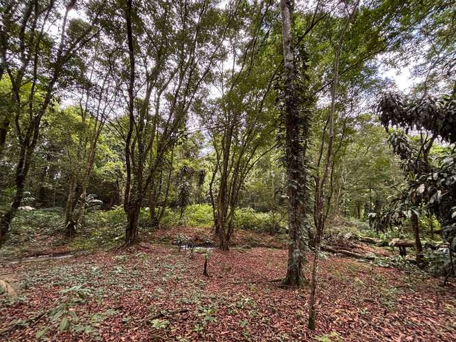  Terreno en venta El Futuro, La Tigra | 2.773 m²  |   - Imagen 12