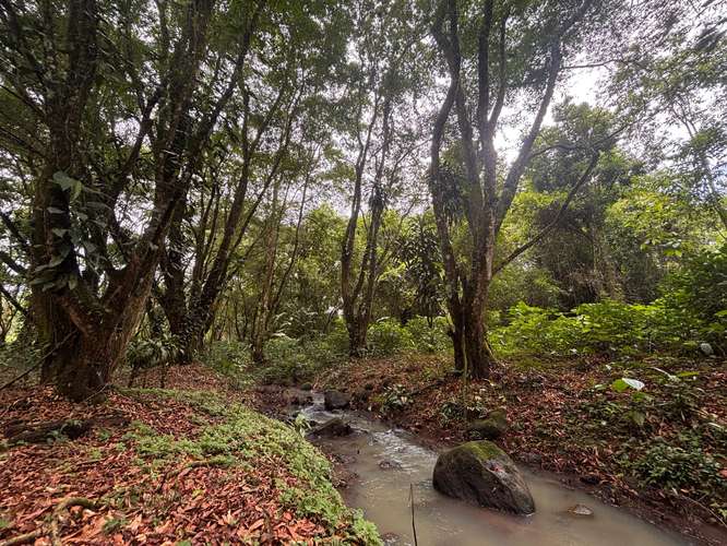  Terreno en venta El Futuro, La Tigra | 2.773 m²  |   - Imagen 3
